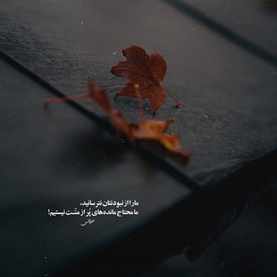  من باشی بلالی من گوزو قارالی